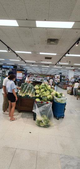 9일 서울 강서구 이마트 가양점에서 고객이 대파 제품을 살펴보고 있다.